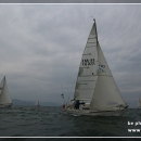 regata_106.jpg