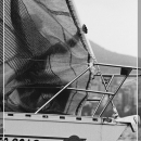 regata_119.jpg