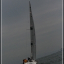 regata_40.jpg