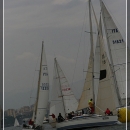 regata_51.jpg