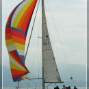 regata_61.jpg