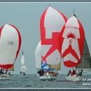 regata_62.jpg